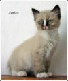 /album/amira/amira-9-hetes-003-jpg/
